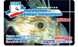 Plus qu'un an pour la passerelle FB1+